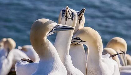 北京丰台：“原拆原建”让老旧小区实现幸福蝶变