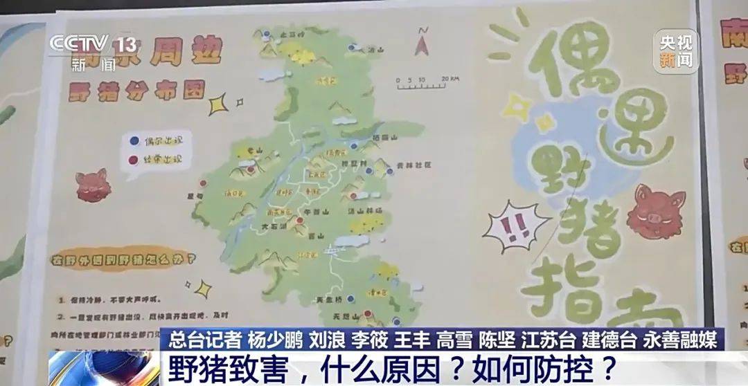 列车撞上野猪,机械师查看被撞身亡!多地野猪“下山进城”,怎么防?