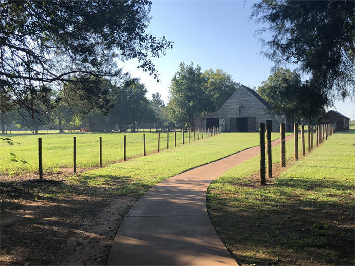 百年卡特的三个“特别身份” | 中新人物