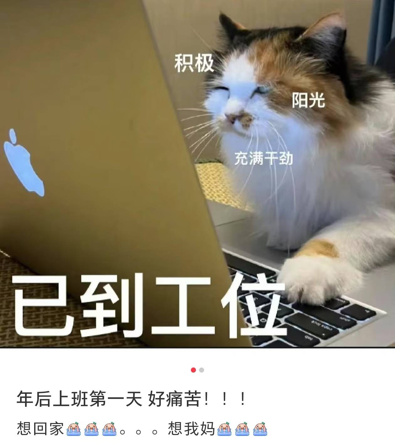 节后复工哭成200斤宝宝，开机密码比初恋难记，而贴心的老板已经在发开工红包了