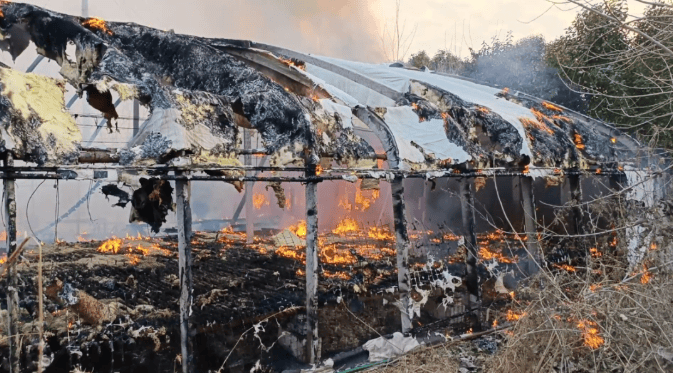 16岁少年被拘留，惨交近8万“学费”！只因凌晨一件事儿