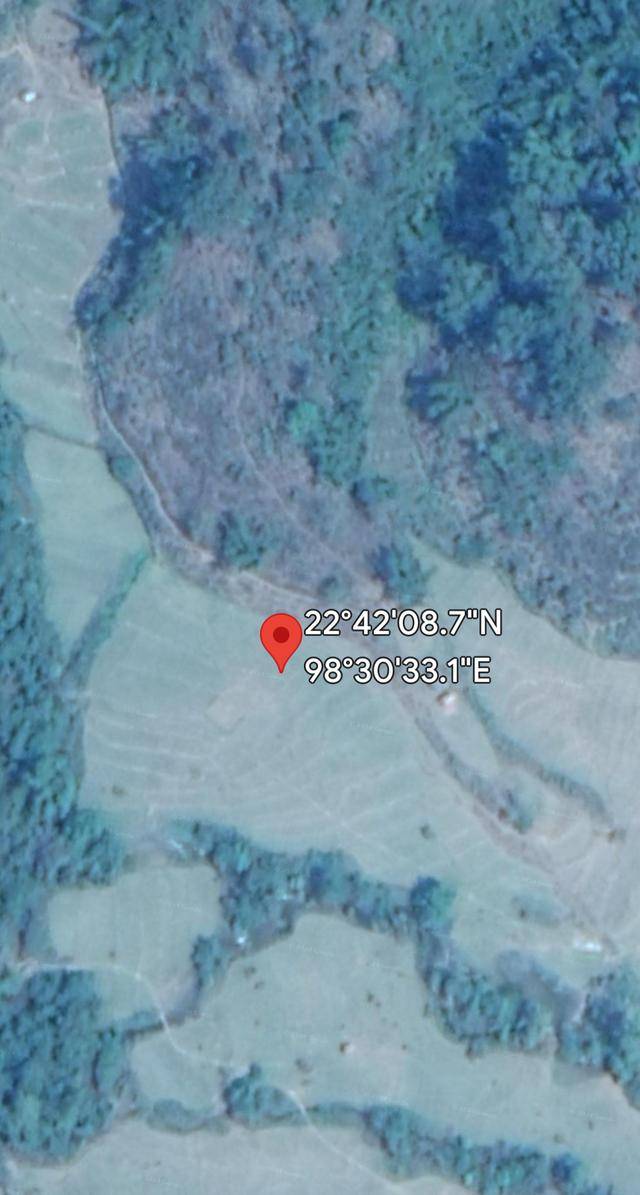 逃离“深渊”：亲历者讲述缅甸电诈园区真相丨大象深度