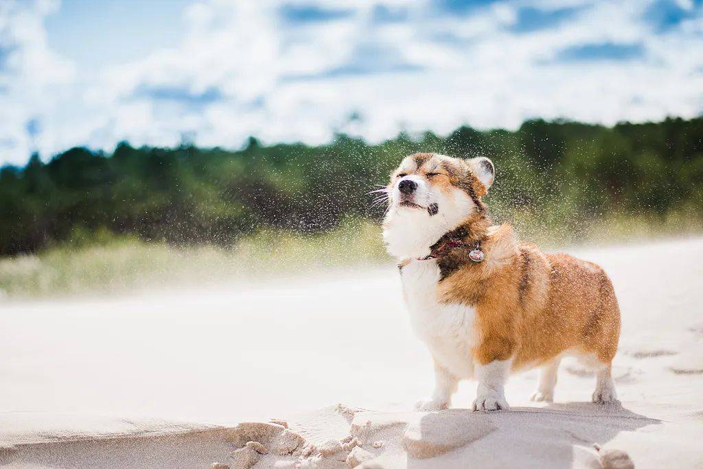 明天北京大部地区有小阵雨，傍晚有沙尘！出行注意