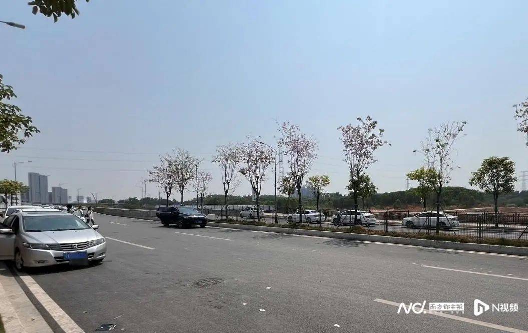 “一趟赚20块”！广州一高校门外，黑车司机在拉客