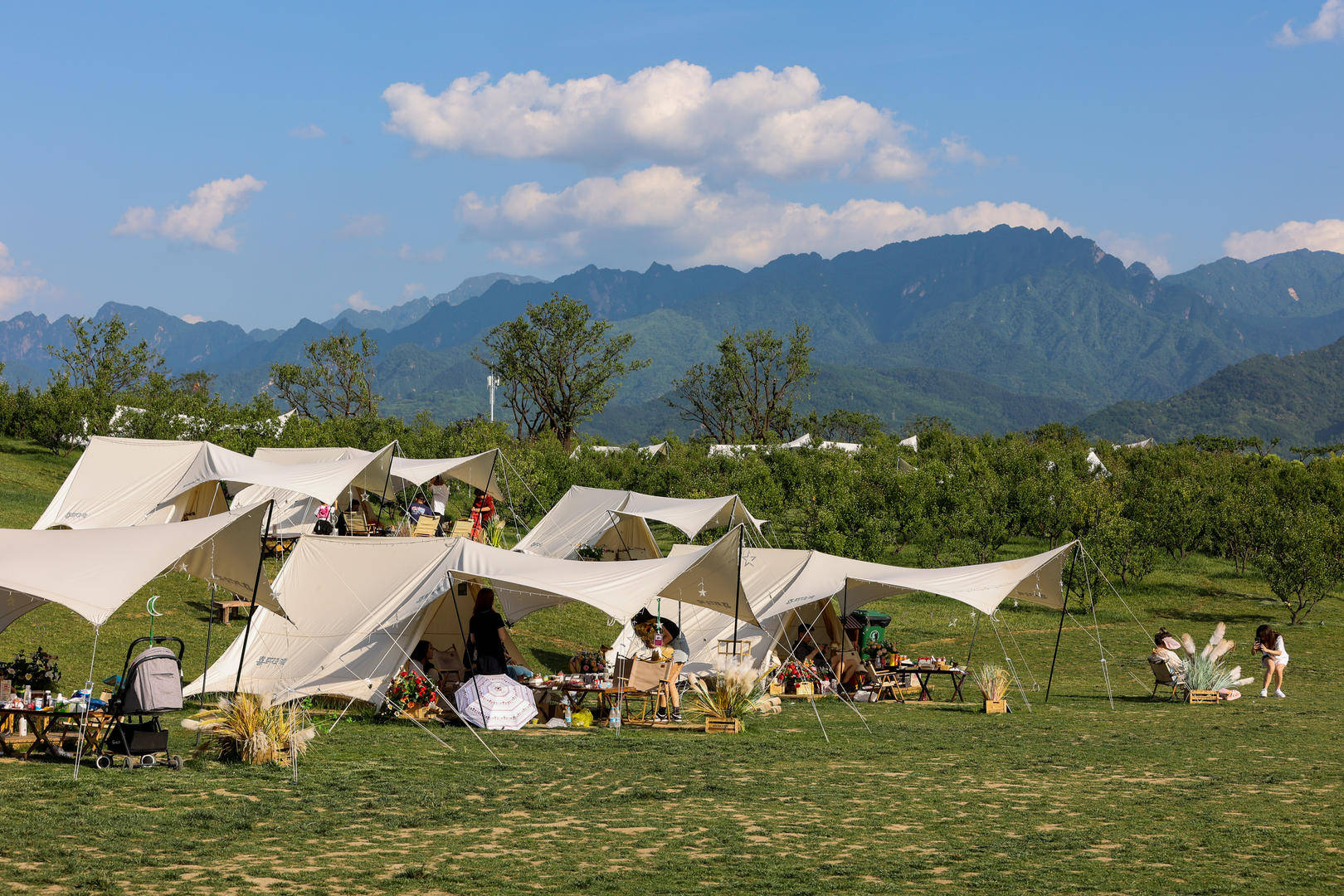 原价499元的天幕现在卖148元,二手平台现露营装备低价甩卖