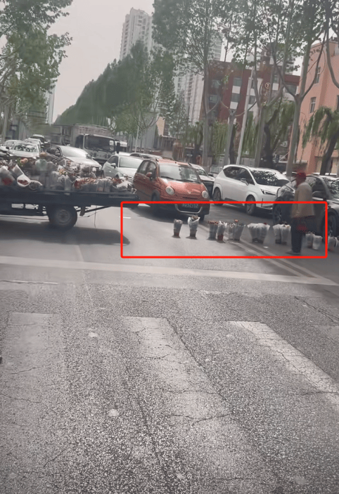 山东临沂一摊贩将盆栽摆满整条路，躺地上阻止公交车通过，派出所：已出警处理