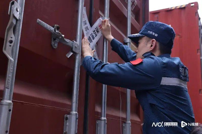 焚烧牛肚、猪肚等，约1200吨！深圳海警局集中处置