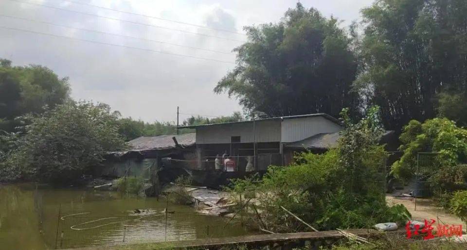 男子杀害母亲和女友后带嫂嫂潜逃32年落网，两人育有一儿一女，侦破细节披露