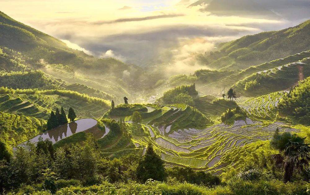 浙江省委书记带头到最薄弱地方调研，为何