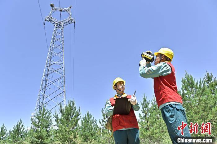 山西大同：“鸟中国宝”铁塔筑巢繁殖 电力人员守护“空中来客”