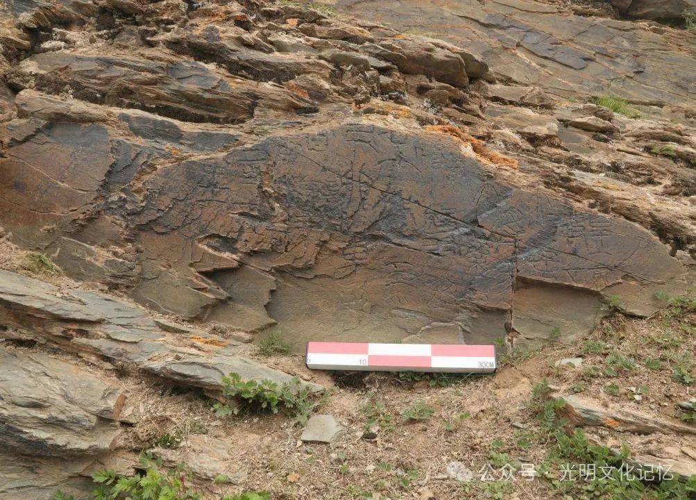 青海“秦始皇遣使采药昆仑石刻”陷入真假争议，涉事各方回应