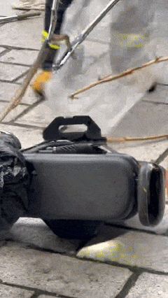 女子骑电单车出门，车里突然钻出1米多长蛇！高发期注意→