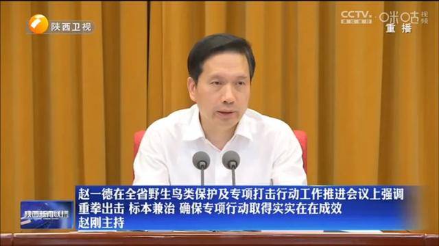 陕西省委书记发声：重拳出击、高压震慑