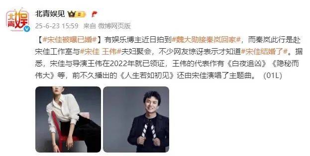 考古|宋佳被曝隐婚?男方曾导《白夜追凶》两人恋爱7年，情路坎坷的她终修得正果