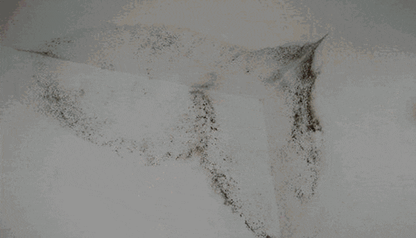 “真的绝望”！最近，很多深圳人家中被悄悄入侵！速自查这些地方……