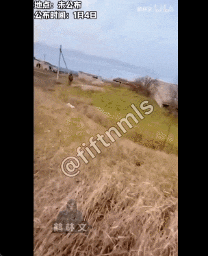 炸断腿还连着肉！乌克兰等6国宣布退出“禁止地雷条约”