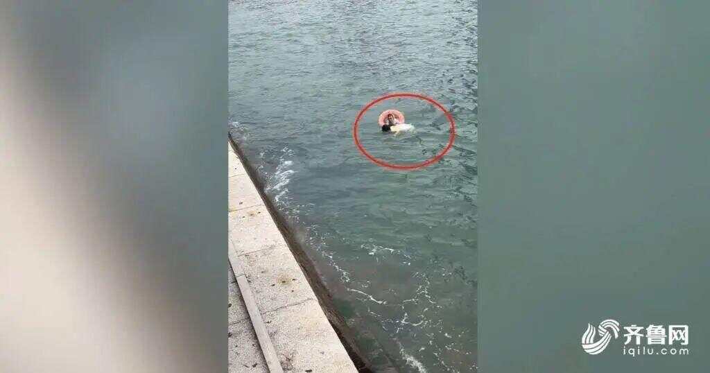 青岛58岁卖玉米大姨回应跳海救人 坦言哪怕以命换命，因为她还年轻！
