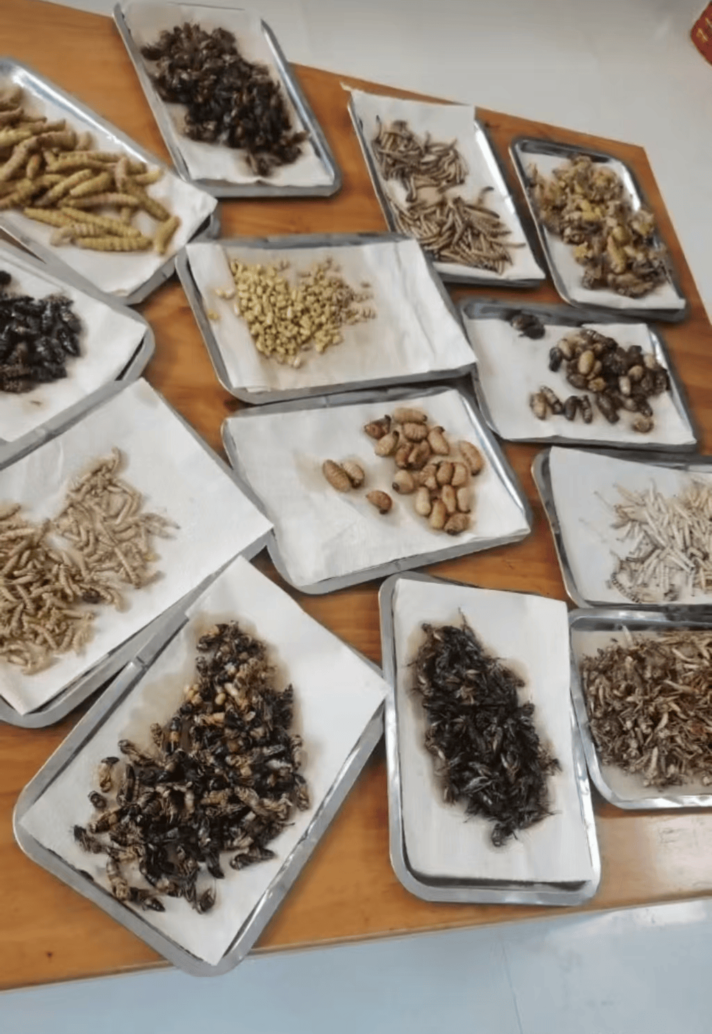 山东临沂通报“蛤蟆汤”饭店被拟罚45万：撤销处罚，5人停职