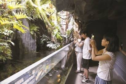 游客探秘＂夜间花园＂ 上海温室花园开启夜游模式