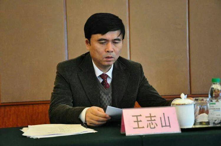 中央巡视期间，王志山主动投案