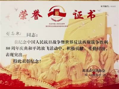 鸽子在飞翔 我心在澎湃 天津3206羽和平鸽在天安门广场振翅高飞