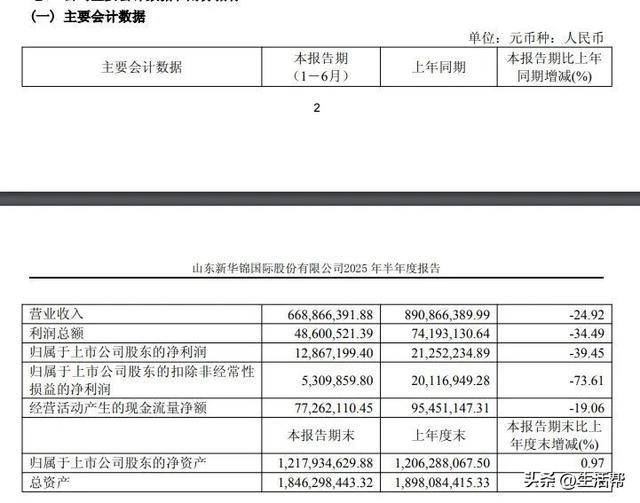 占用4.06亿资金！新华锦或面临退市风险，欲用即墨黄酒6.65亿元的“卖身钱”还款？