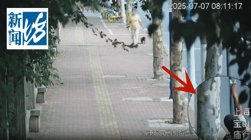 叶某(60岁)已被刑拘!监控曝光…网友怒斥如此行径太恶劣