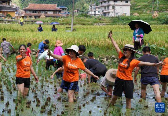 周末出游享金秋