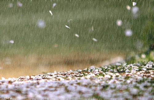 冷冷的秋雨要来啦!明显降温!通州最新预报