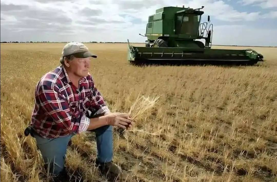 稀土卡脖子，美方军工企业停摆！美财长喊话：开出取消关税的条件，美农户输惨了