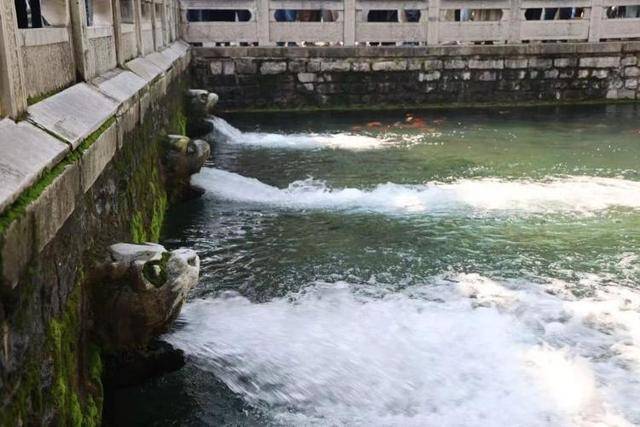 黑虎泉喷得“兽头”都不够用了！济南群泉竞涌，几十年一见