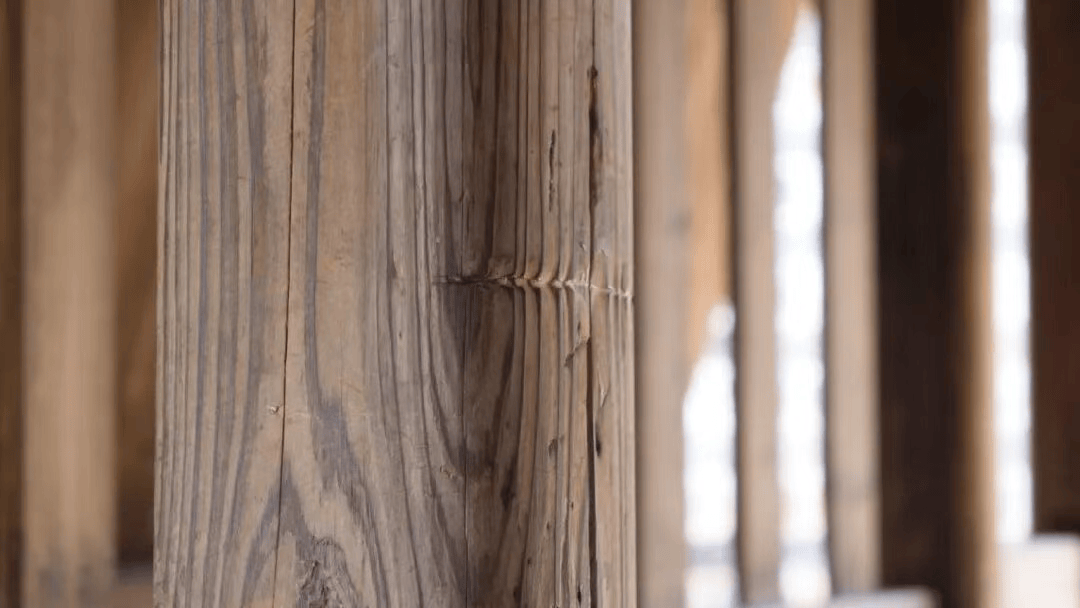 这条路，你记得吗？