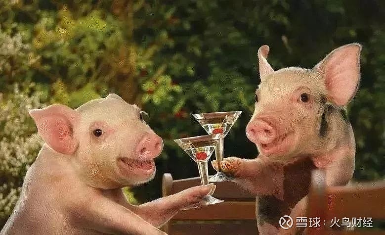 区块链宠物(区块链宠物游戏源码)