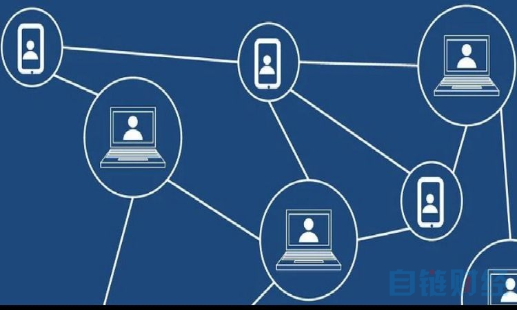 区块链联盟链(区块链联盟链是什么意思)