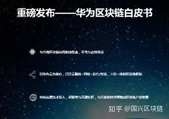 区块链白皮书(区块链白皮书区别)