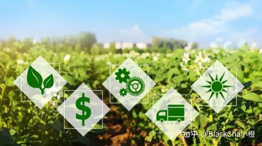 区块链农业(区块链农业应用发展研究报告)